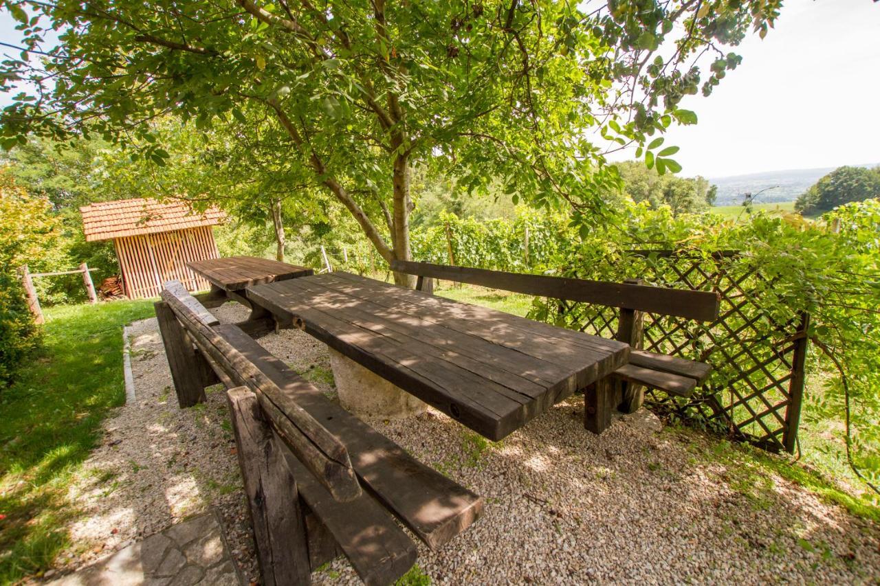 Holiday Home Juricko With Private Sauna Bizeljsko Exterior photo